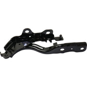 DURAFORCE Pair Set of 2 Hood Hinges Driver & Passenger Side Left Right for Hyundai Sonata