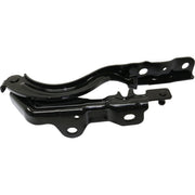 DURAFORCE Pair Set of 2 Hood Hinges Driver & Passenger Side Left Right for Hyundai Sonata