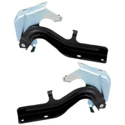DURAFORCE Pair Set of 2 Hood Hinges Driver & Passenger Side Left Right for Nissan Rogue