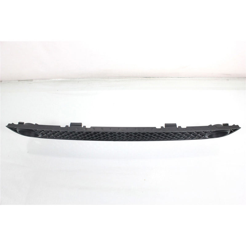 DURAFORCE Bumper Grille For 2006-2009 Chevrolet Trailblazer Black Plastic Front 15135191