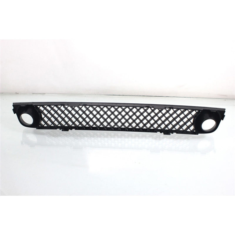 DURAFORCE Bumper Grille For 2006-2009 Chevrolet Trailblazer Black Plastic Front 15135191