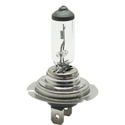 DURAFORCE Head Light Driving Headlamp Headlight Bulbs Set of 3 Driver & Passenger Side