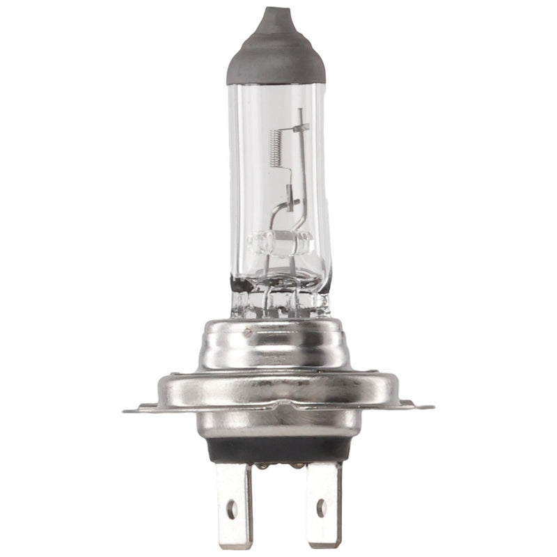 DURAFORCE Head Light Driving Headlamp Headlight Bulbs Set of 3 Driver & Passenger Side