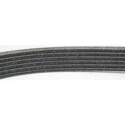 DURAFORCE Drive Belt For 1999-2004 Jeep Grand Cherokee 2000-2006 Wrangler (TJ) 6 Ribs
