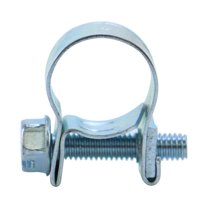 DURAFORCE 30Pcs Fuel Injection Hose Clamp 1/4", 5/16", 3/8" AUTO Fuel Clamps Metal