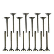 DURAFORCE Exhaust & Intake Valves for Hyundai Accent Kia Rio 1.5L 1.6L DOHC 16v