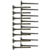 DURAFORCE Exhaust & Intake Valves for Hyundai Accent Kia Rio 1.5L 1.6L DOHC 16v