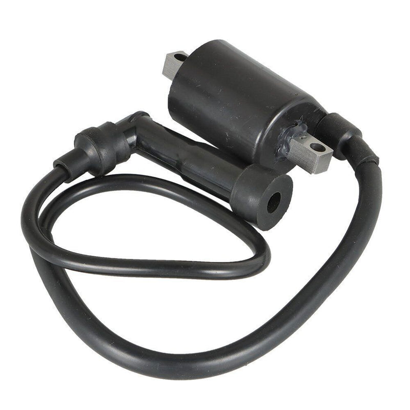 DURAFORCE 2Pcs For Yamaha Virago XV700 XV750 XV1000 XV1100 42X-82310-70-0 Ignition Coils