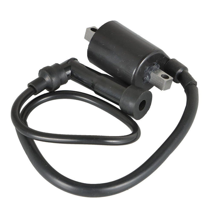 DURAFORCE 2Pcs For Yamaha Virago XV700 XV750 XV1000 XV1100 42X-82310-70-0 Ignition Coils