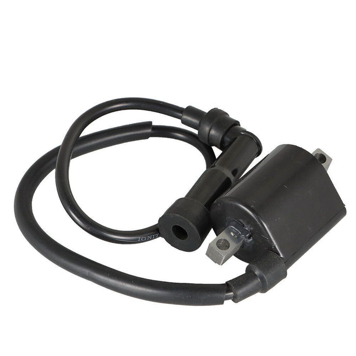 DURAFORCE 2Pcs For Yamaha Virago XV700 XV750 XV1000 XV1100 42X-82310-70-0 Ignition Coils