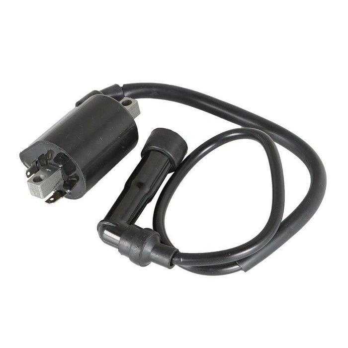 DURAFORCE 2Pcs For Yamaha Virago XV700 XV750 XV1000 XV1100 42X-82310-70-0 Ignition Coils