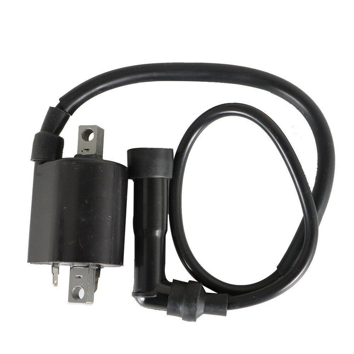 DURAFORCE 2Pcs For Yamaha Virago XV700 XV750 XV1000 XV1100 42X-82310-70-0 Ignition Coils