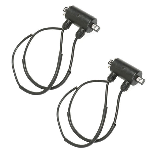 DURAFORCE Fit For Honda VT750C Shadow 750 1983 / VT800C Shadow 800 1988 2 Ignition Coil