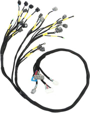 DURAFORCE Motor Wiring Harness Engine Fit For Honda Civic Integra OBD2 B Series B16 B18