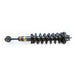 DURAFORCE 2x Front Shock Struts Assys For Lexus GX470 Toyota Land Cruiser 120 48510-69195