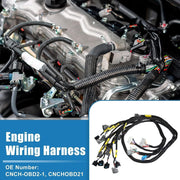 DURAFORCE Fit For 92-00 Civic Integra B16 B18 D16 OBD2 D & B-series Tucked Wire Harness