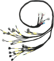 DURAFORCE Fit For 92-00 Civic Integra B16 B18 D16 OBD2 D & B-series Tucked Wire Harness