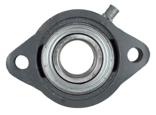 DURAFORCE 1" Light Duty Two Bolt Flange Bearing BLF205-16G, SBLF205-16G, FHSLF205-16G