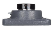 DURAFORCE 2-7/16" Four Bolt Flange Bearing W/ Collar HCFS212-39, VF4E-239, RCJ-2-7/16