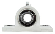 DURAFORCE 1" Stainless Steel Plastic Pillow Block Bearing MUCPPL205-16, BP-16, YAS-1-PT