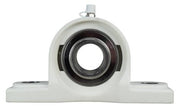 DURAFORCE 1" Stainless Steel Plastic Pillow Block Bearing MUCPPL205-16, BP-16, YAS-1-PT