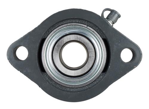 DURAFORCE 3/4" Light Duty Two Bolt Flange Bearing BLF204-12G, SBLF204-12G FHSLF204-12G
