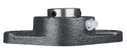 DURAFORCE 1-1/8" Two Bolt Flange Bearing Set Screws UCFL206-18 VF2S-218 F2B-SC-102 SFT-18