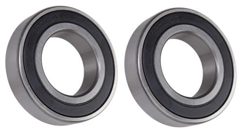 DURAFORCE (2 Each) 6006-2RS, 6006LLU, 6006DDU Sealed Radial Ball Bearing 30X55X13 SpinCo