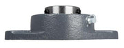 DURAFORCE 1-15/16" Two Bolt Flange Bearing Set Screw UCFL210-31 VF2S-231 F2B-SC-115 SFT-31