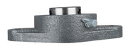 DURAFORCE 1-3/16" Two Bolt Flange Bearing Set Screws UCFL206-19 VF2S-219 F2B-SC-103 SFT-19