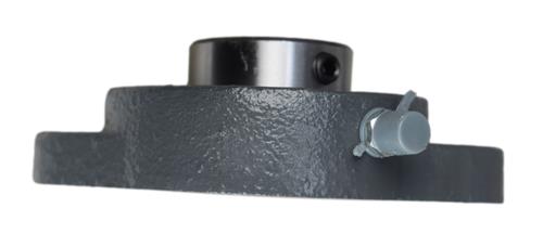 DURAFORCE 1" Ductile Iron Two Bolt Flange Bearing SBFTD205-16G VF2S-100M LFT-SC-100 LFT-16