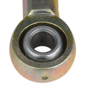 DURAFORCE 5/16-24 Left Hand LH Female Rod End Heim Joint Nylon Race CCVI FCNL5 Y