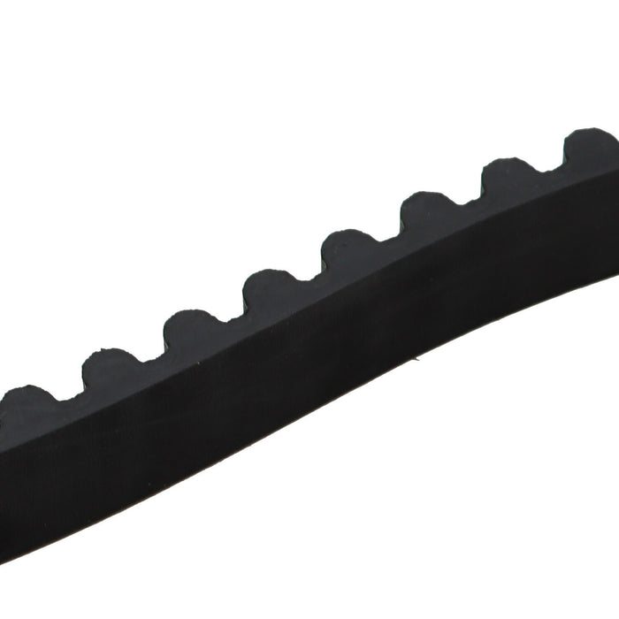 DURAFORCE 1 Inch 137T Rear Drive Belt 40024-07 1204-0061 for 2007-2018 Harley Sportster