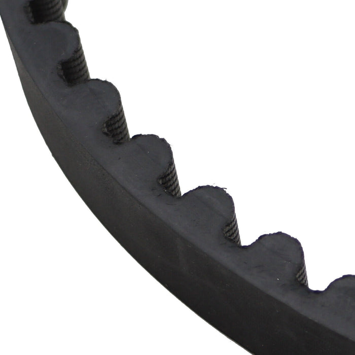 DURAFORCE 1 Inch 137T Rear Drive Belt 40024-07 1204-0061 for 2007-2018 Harley Sportster