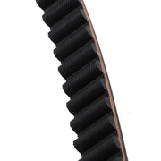 DURAFORCE 1 Inch 137T Rear Drive Belt 40024-07 1204-0061 for 2007-2018 Harley Sportster