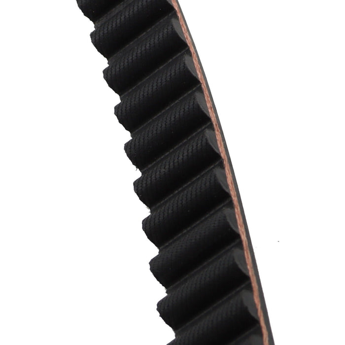 DURAFORCE 1 Inch 137T Rear Drive Belt 40024-07 1204-0061 for 2007-2018 Harley Sportster