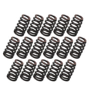 DURAFORCE 16x PAC1218 Beehive Valve Springs Drop-In LS Engines Lift Rated .600