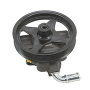 DURAFORCE Power Steering Pump w/Pulley 20-282 F65Z3A674AA for 97-05 Ford F-150 F-250