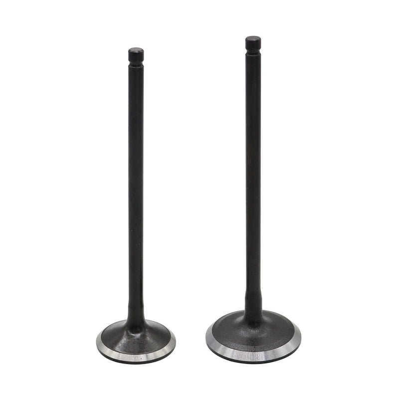 DURAFORCE 24pcs Intake & Exhaust Valves for 2002-2010 Honda Odyssey 3.5L Accord 3.0L