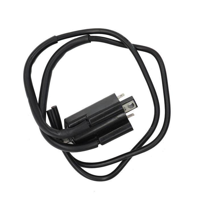 DURAFORCE 2x Ignition Coils & Spark Plug Caps for Suzuki GS550 GS750 GS850 GS1000 GS1100