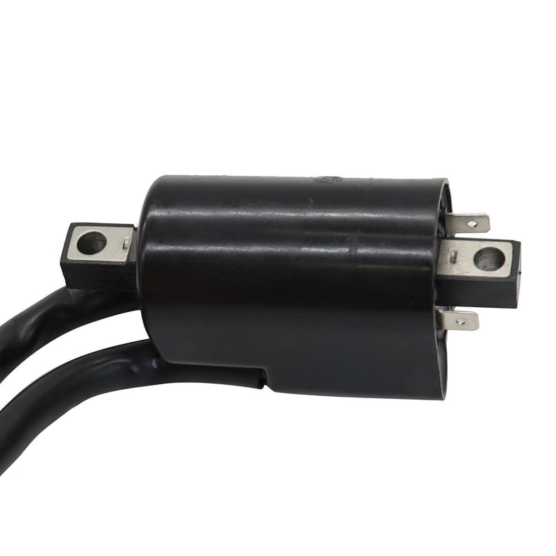 DURAFORCE 2x Ignition Coils & Spark Plug Caps for Suzuki GS550 GS750 GS850 GS1000 GS1100