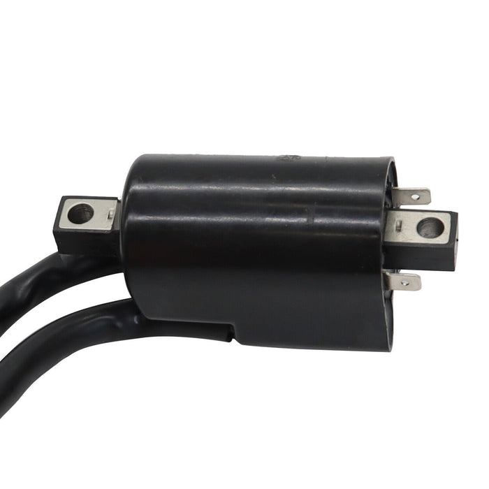 DURAFORCE 2x Ignition Coils & Spark Plug Caps for Suzuki GS550 GS750 GS850 GS1000 GS1100