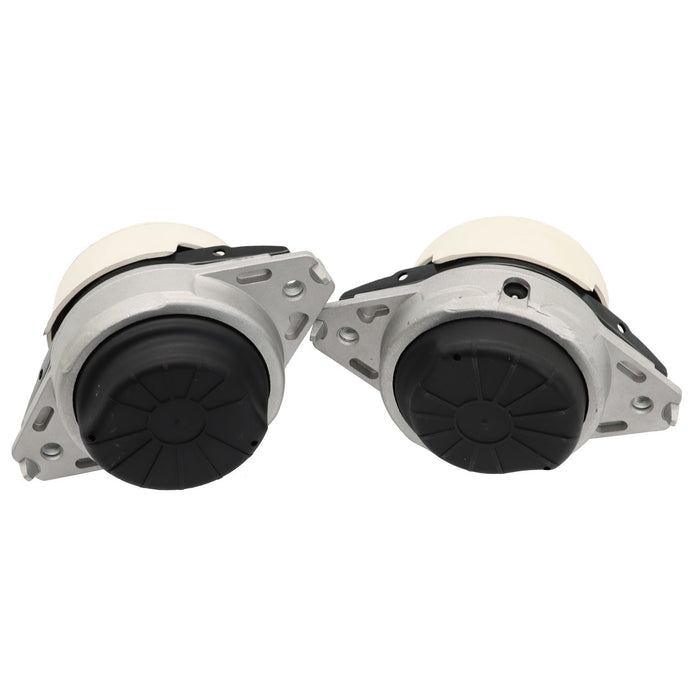 DURAFORCE 2pcs Engine Mounts Left & Right for Mercedes-Benz W166 ML550 GL450 GLS550