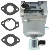 DURAFORCE Carburetor 699807 for Briggs & Stratton 697722 Engine Tractor with Gasket