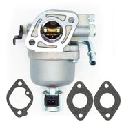DURAFORCE Carburetor 699807 for Briggs & Stratton 697722 Engine Tractor with Gasket