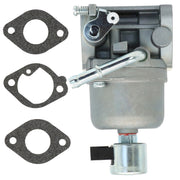 DURAFORCE Carburetor 699807 for Briggs & Stratton 697722 Engine Tractor with Gasket