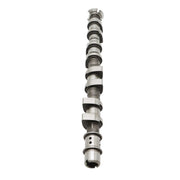 DURAFORCE Engine Exhaust Camshaft 55571923 for 2011-18 Chevrolet Cruze Sonic 1.8L