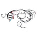 DURAFORCE DBC 1997-2006 Standalone Wire Harness w/4L80E for 4.8L 5.3L 6.0L LS Vortec Swap