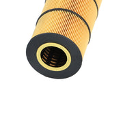 DURAFORCE Freightliner DD13 DD15 DD16 Oil & Fuel Filter Kit PF9908 FS19915 P551005