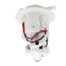 DURAFORCE Fuel Pump Assembly for Honda CBR250R CB300F CBR300R 16700-KYJ-901